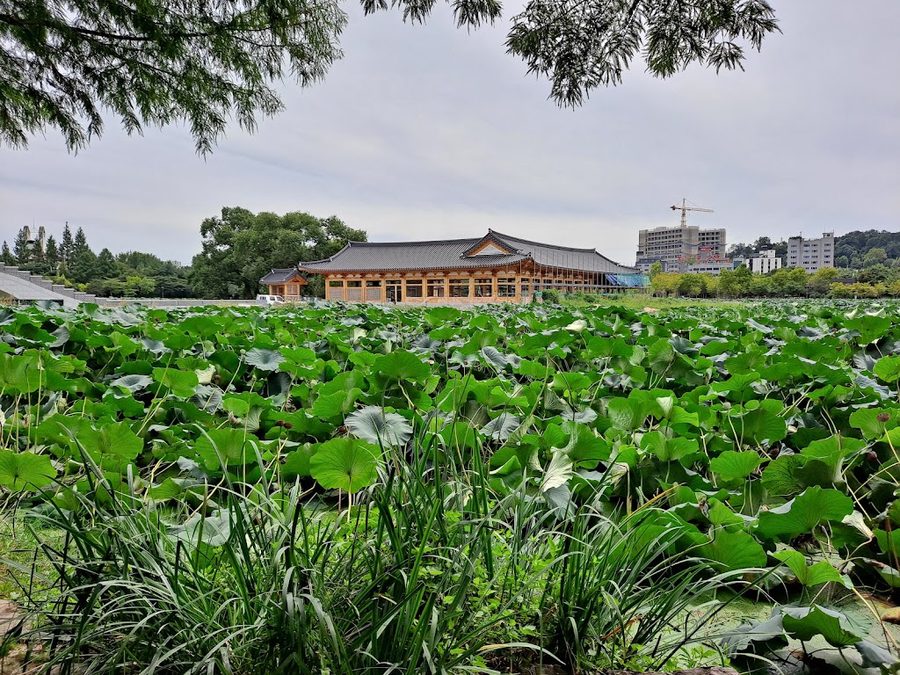 德津湖水