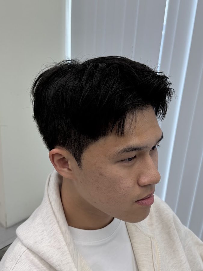 HAIRVIVE
