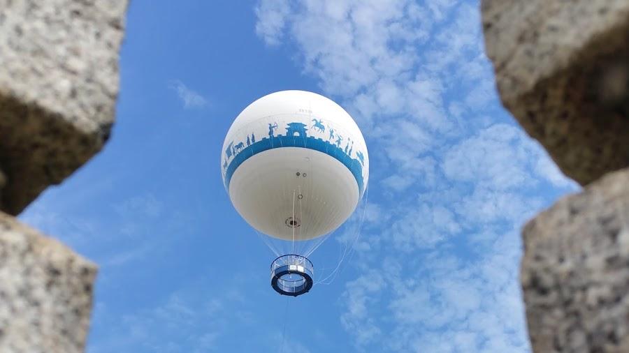 Flying Suwon