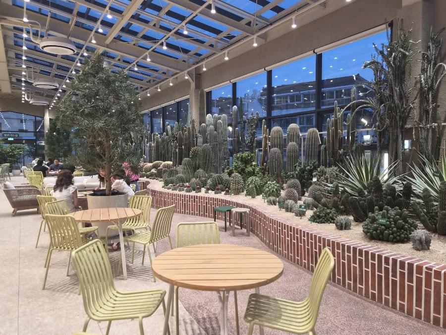 cafe cactus