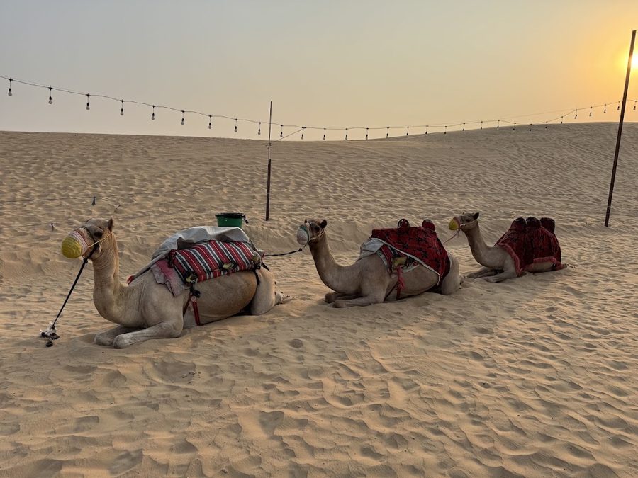 Desert Safari Dubai