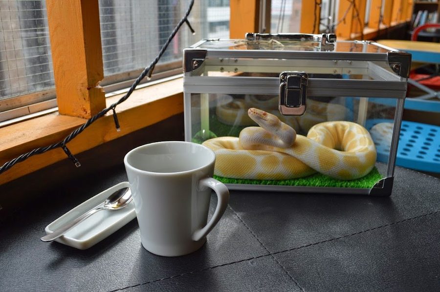 Tokyo Snake Center ~Cafe & Snake~