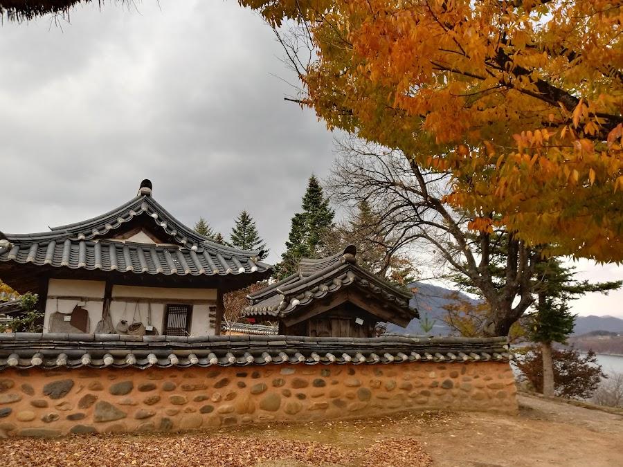 清風文化財団地