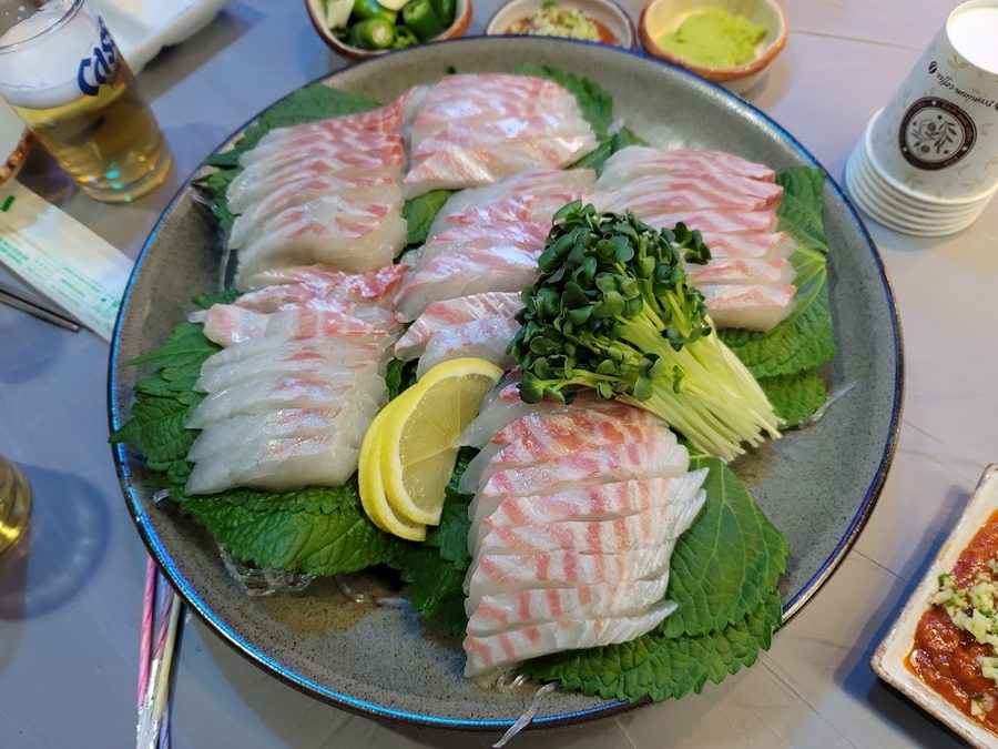 구의동 매화
