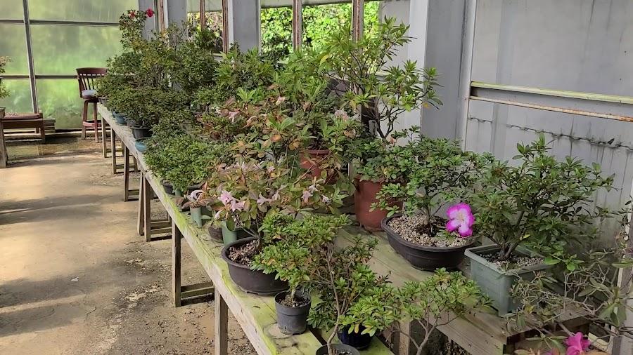 Divine Garden