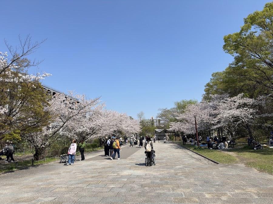 梅小路公園