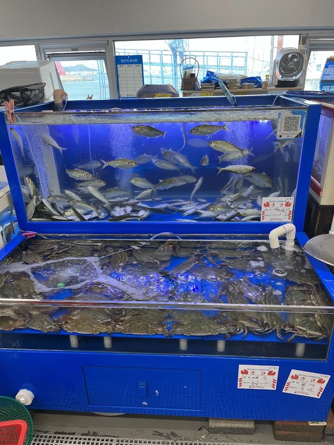 Gunsan Sisanmul Market
