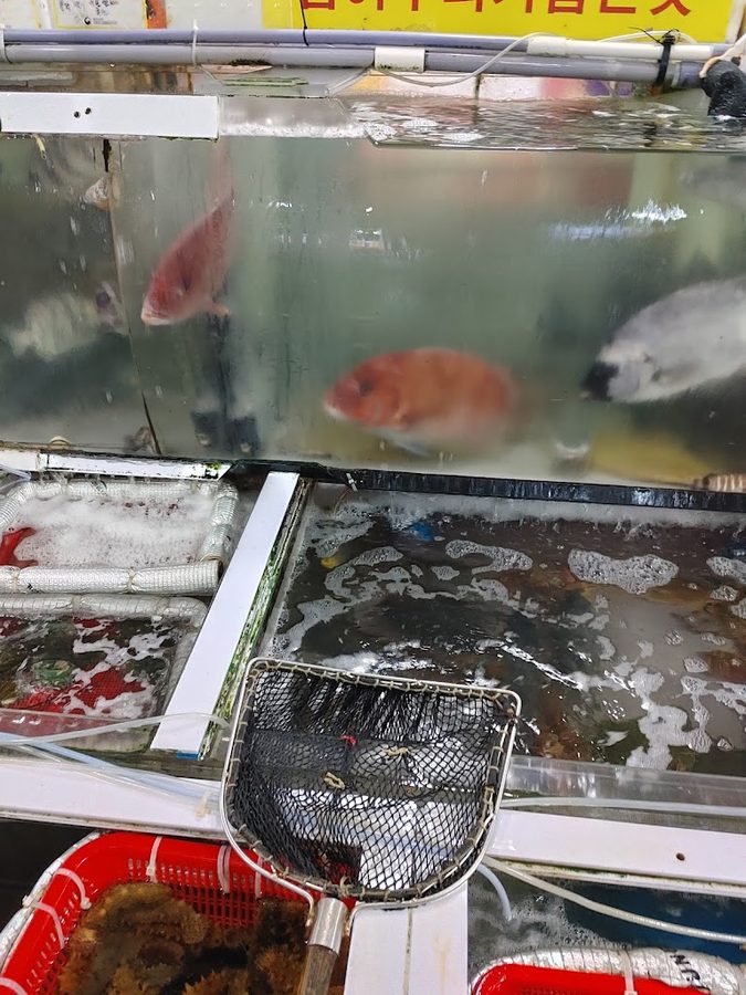 Haeundae Sealand Sashimi Center