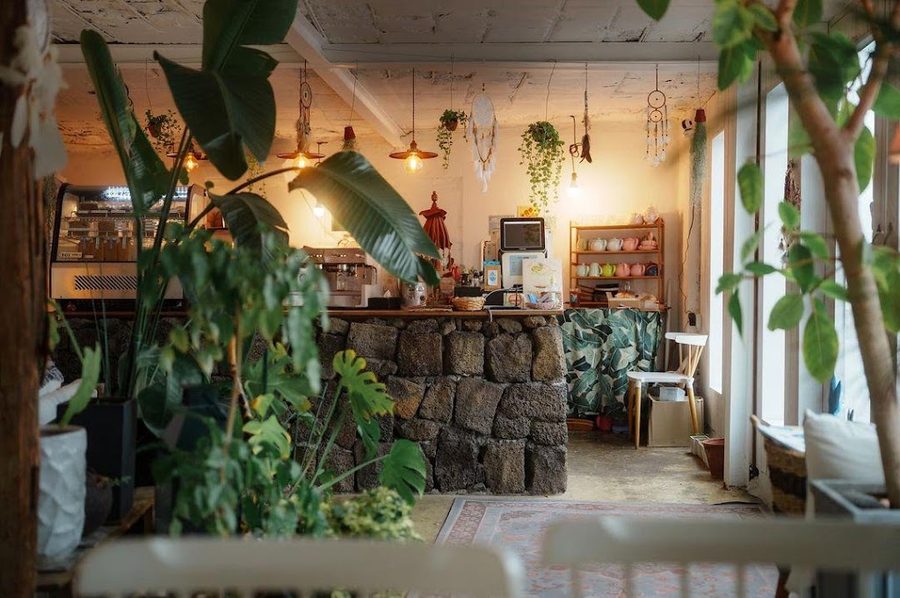 You Are Paradise Gili
