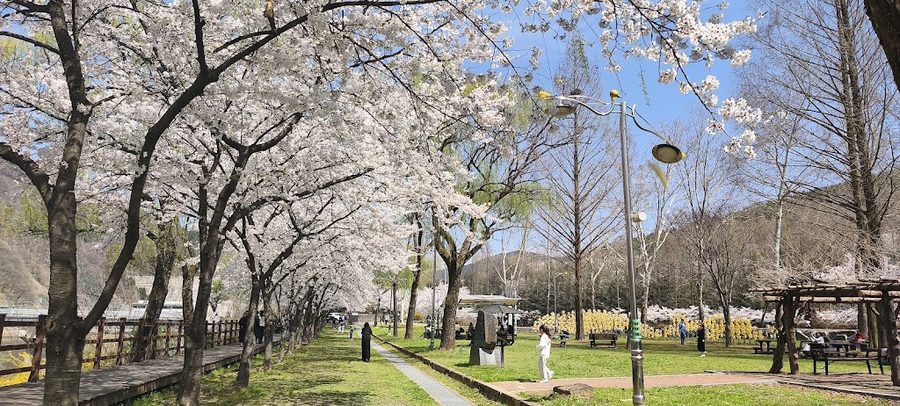 錦江ロハス大青公園