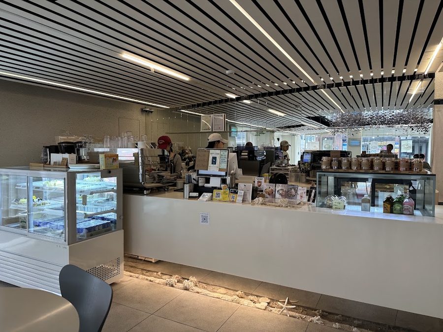 Cafe Blue Whale