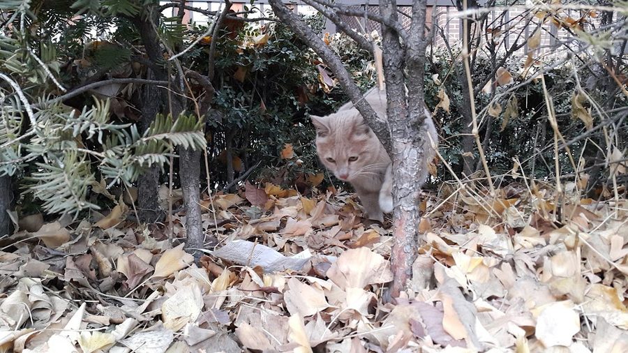 옹달샘어린이공원
