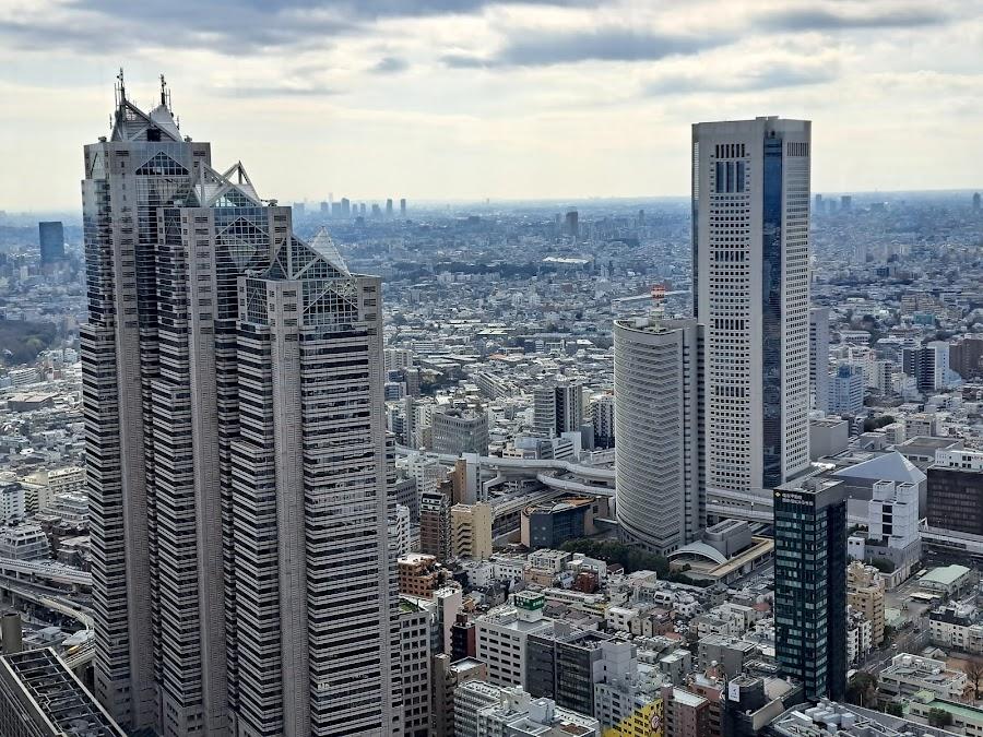 東京都廳 北展望室