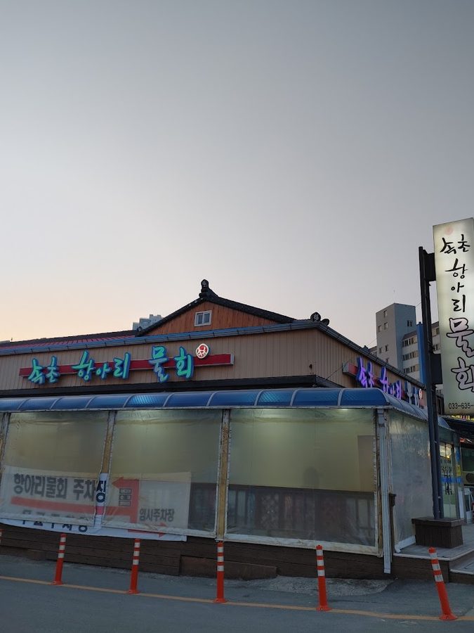 束草海水生魚片