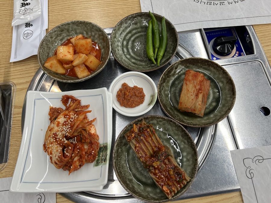 桑樹