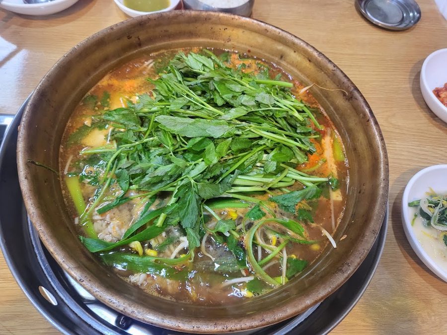 Matinneun Jip