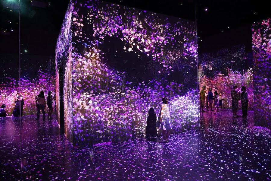 Arte Museum Valley Gangneung