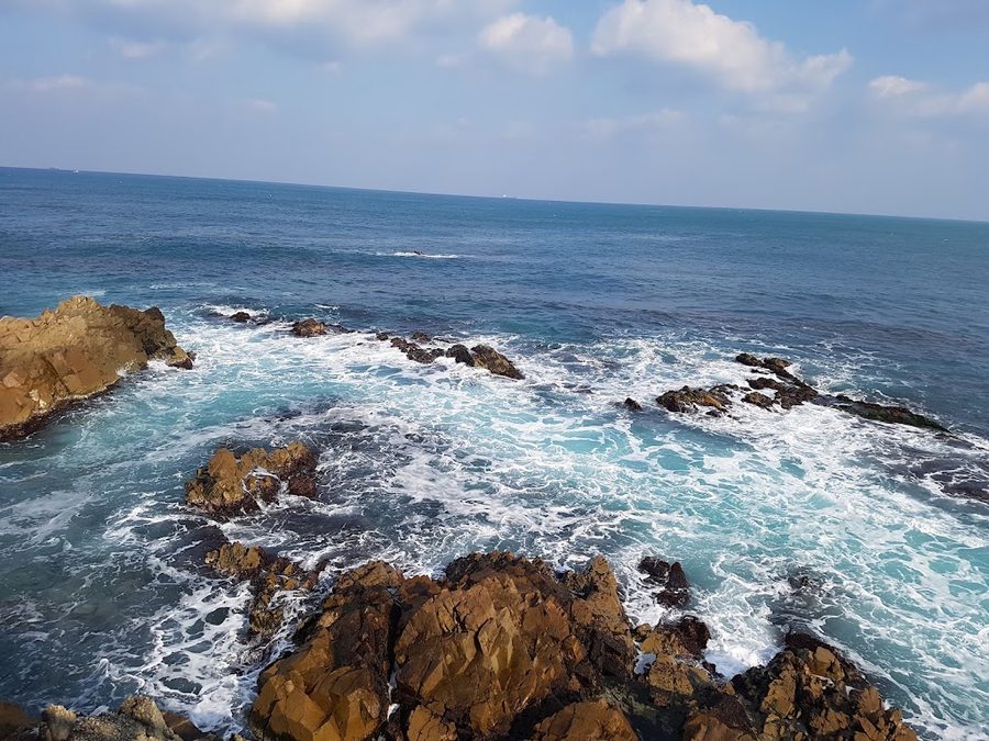 해맞이로46번길