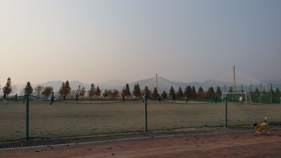 화명생태공원 축구장