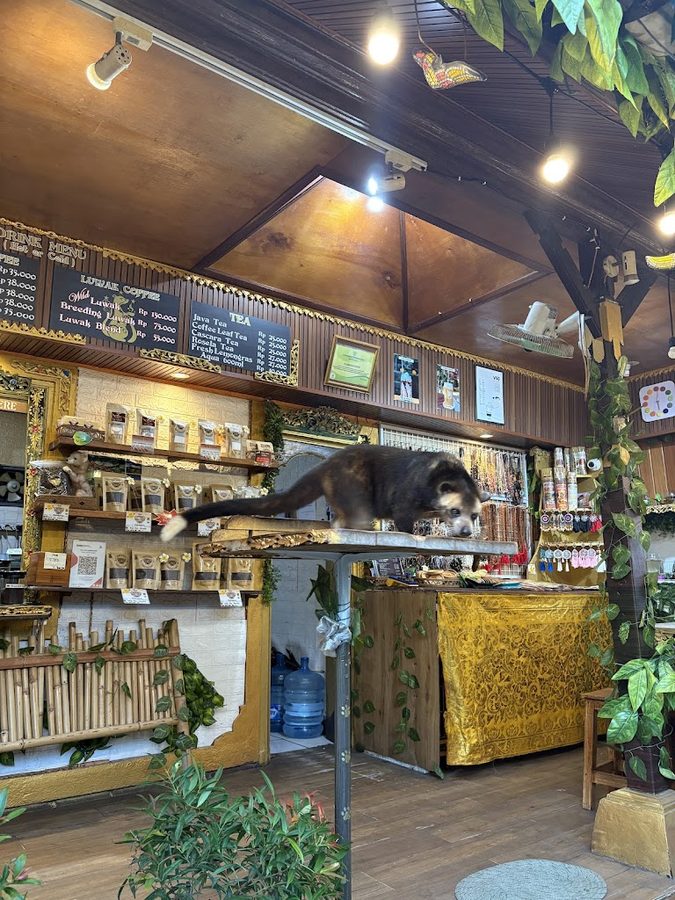 バリスターコーヒー