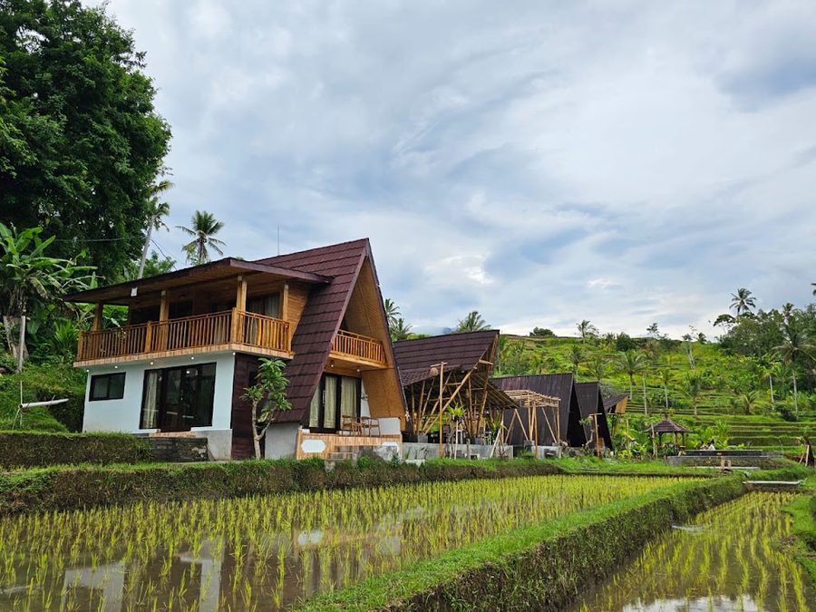 Niente Bali