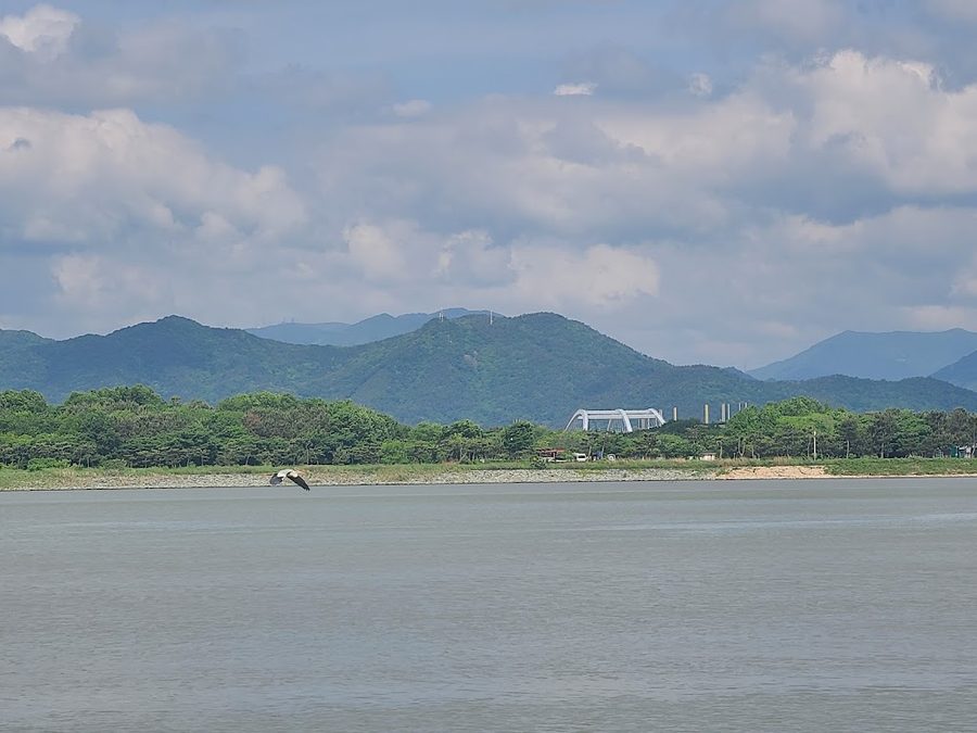 向日葵公園