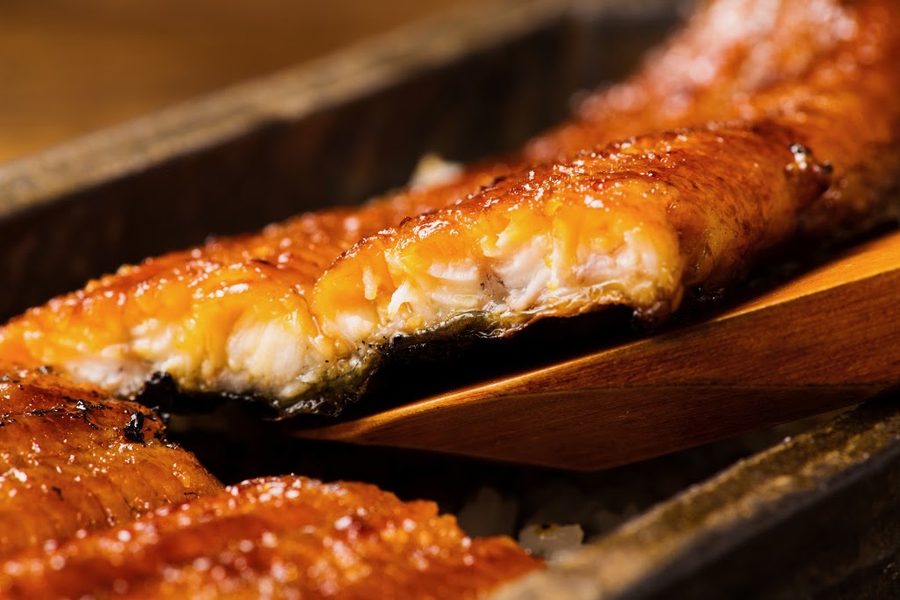鰻魚四代目菊川 東京站黑塀横丁店