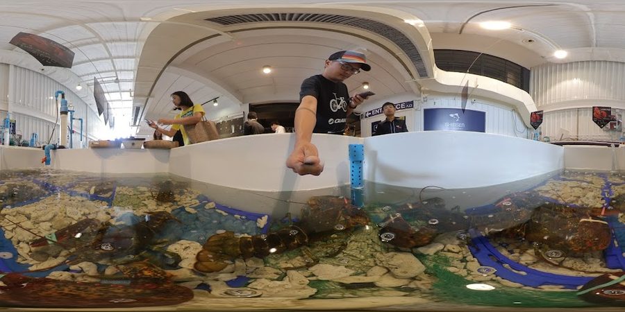 Shinsen Fish Market