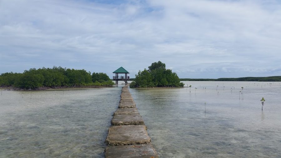 Olango Island Wildlife Sanctuary