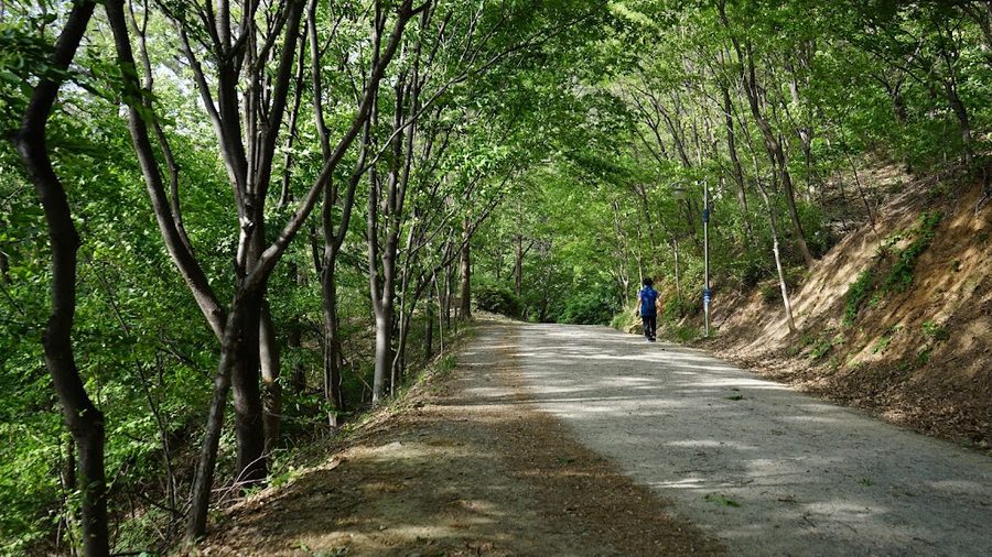 鶏足山公園