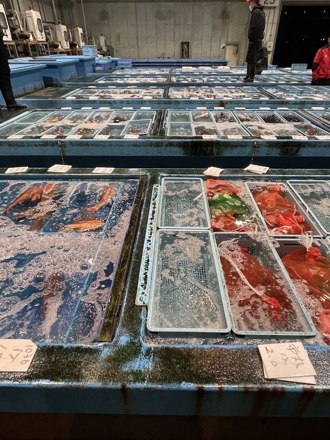 福岡市中央批發市場鮮魚市場