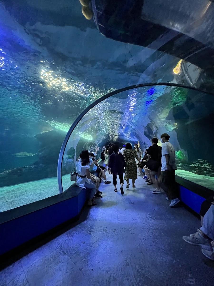 SEA LIFE釜山水族館