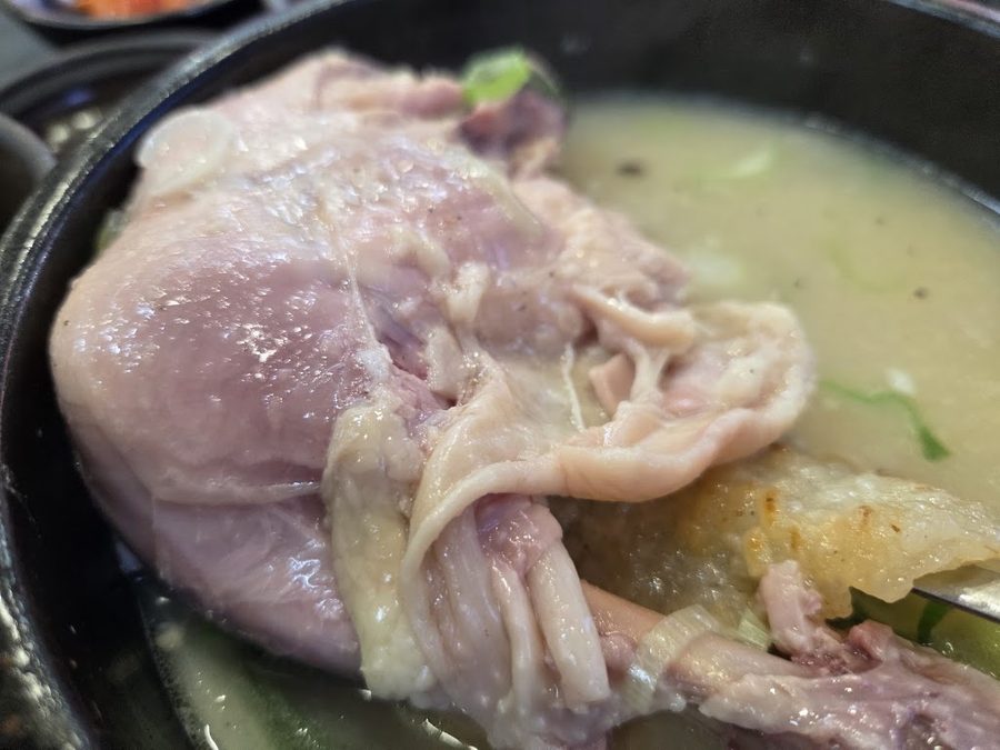 백가집
