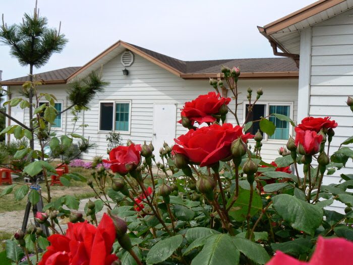 Homigot Haeoreum Pension