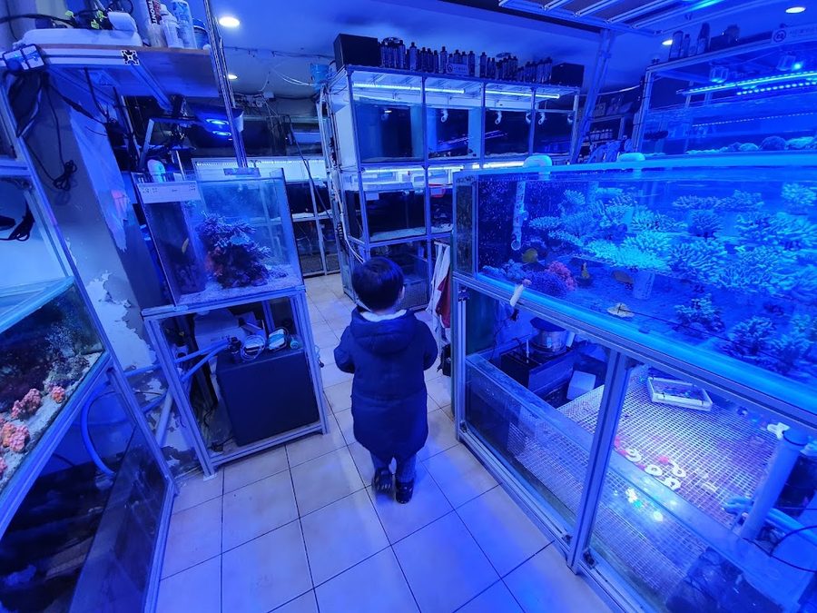 テマリウム水族館