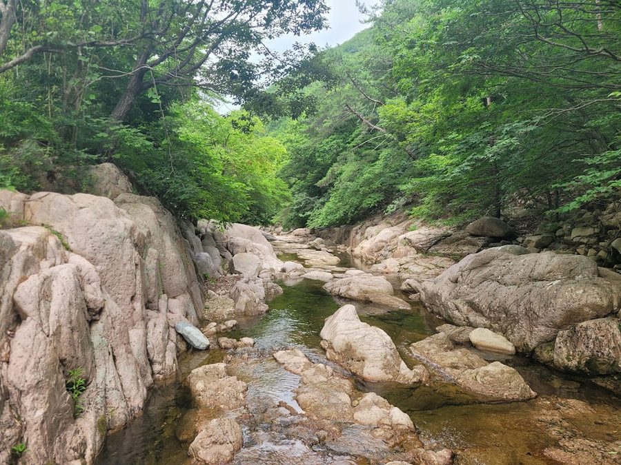 國立大雲山治癒之林