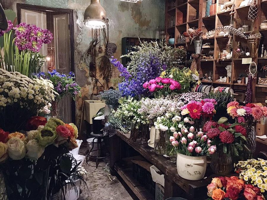 Oneday wallflowers old town