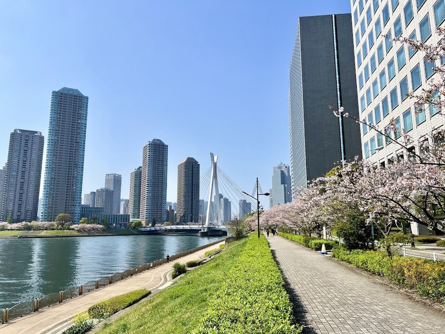 中央区立新川公園