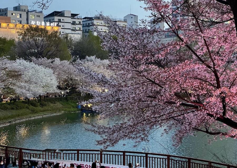 Seokchon Lake