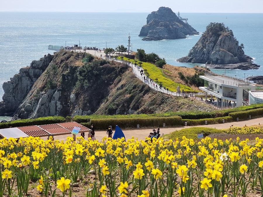 五六島 日の出公園