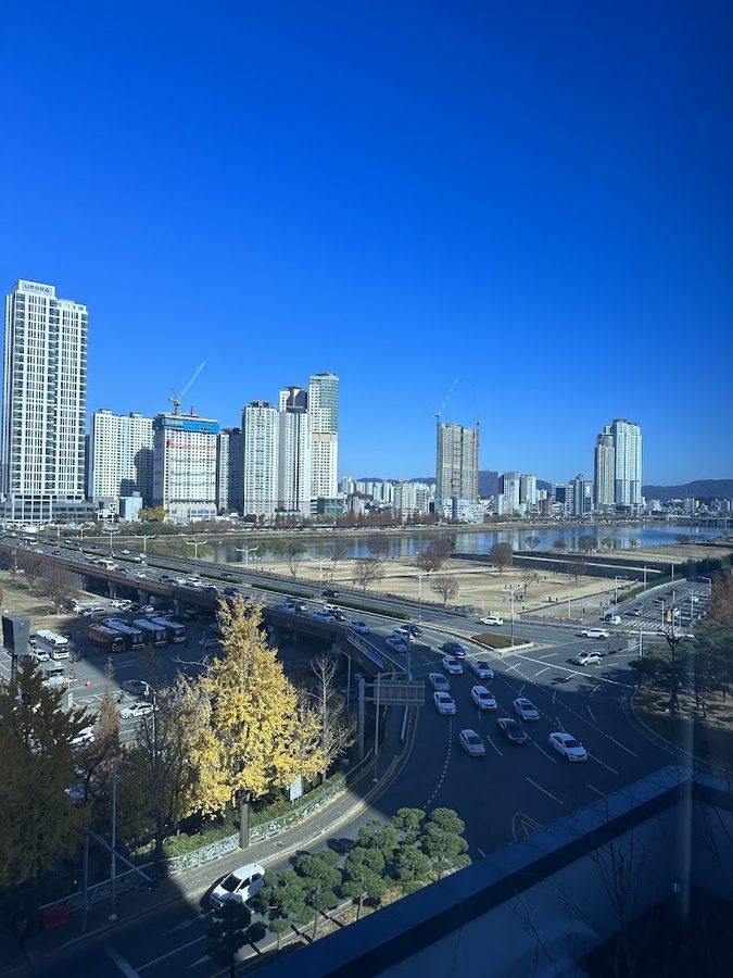 Taehwagang Riverside (Sinjeong-dong)