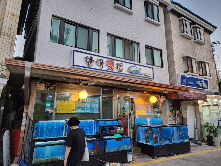 韓国フェジプ