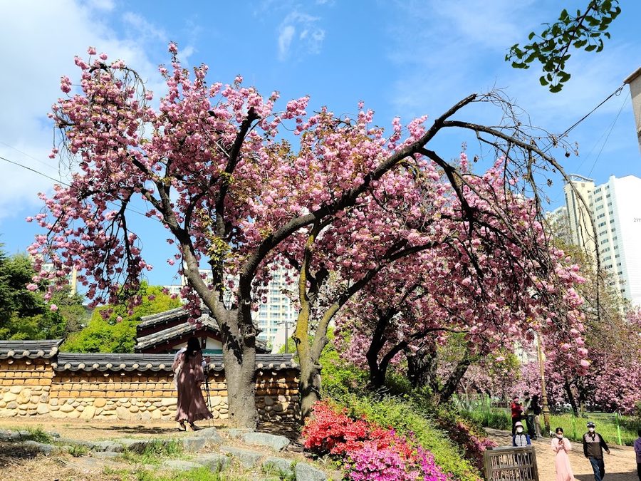 月谷歷史博物館