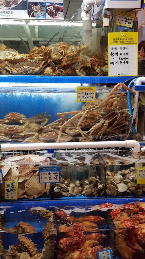 鷺梁津水產市場 姊妹水產