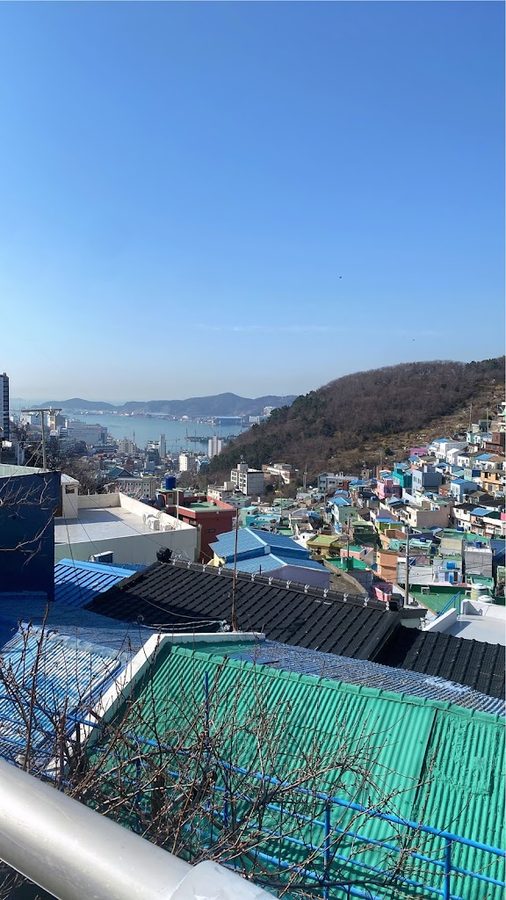 Village view point