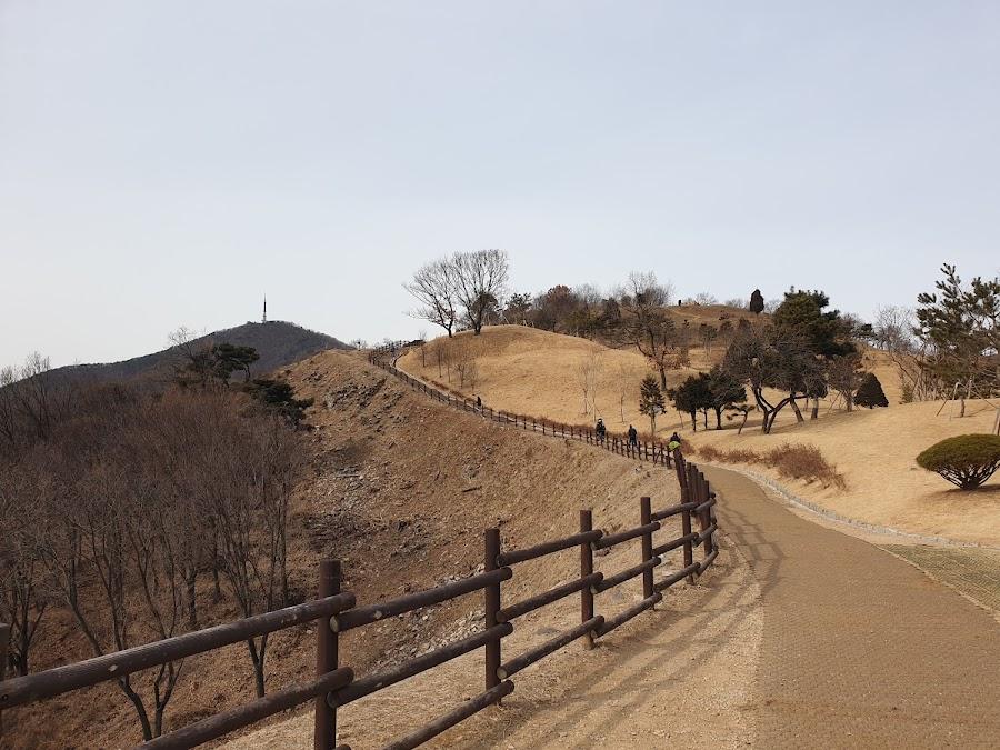 桂陽山城