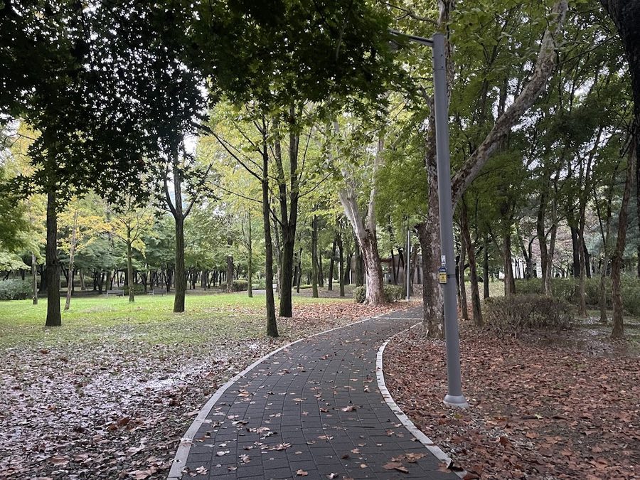 Yangjae Citizen's Forest Station