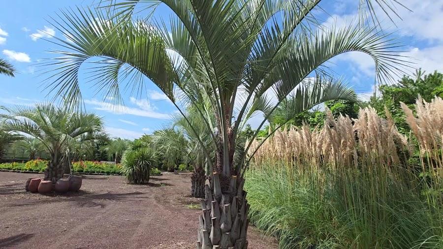 Hueree Nature Life Park