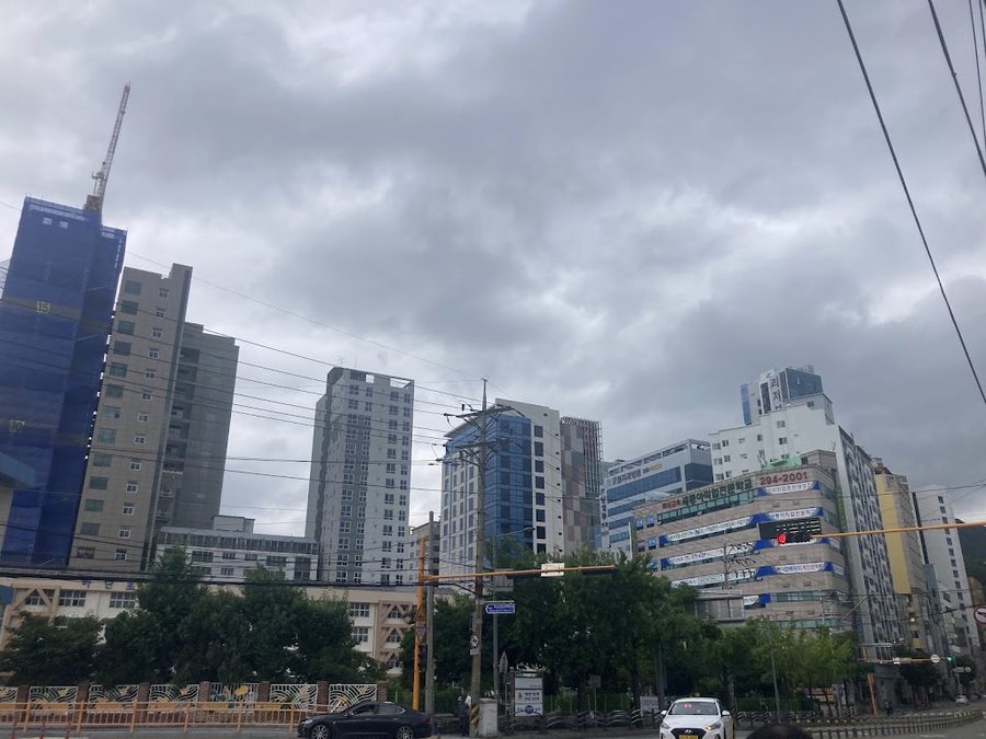 괴정천