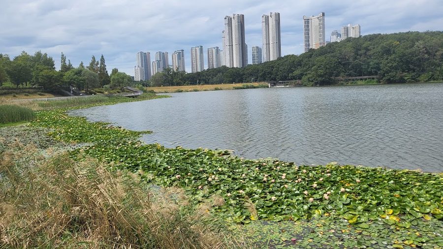 Gwanggyo Lake Park Sindae Lake